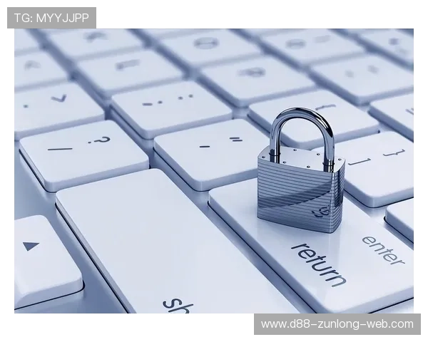 亚搏软件：安全性分析与数据保护措施，保障用户信息安全与隐私