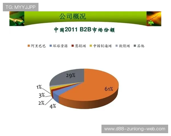 开云官网最新公告:公司财务报告详细解读与运营情况分析 开云官网最新公告:公司财务报告详细解读与运营情况分析