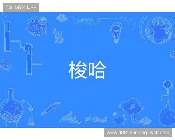 凯发港式梭哈：体验最正宗的港式梭哈游戏乐趣与技巧分享