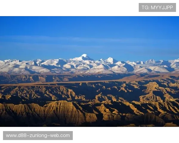 爱体育官网电脑版登录遇到问题怎么办详细解决方案推荐 爱体育官网电脑版登录遇到问题怎么办详细解决方案推荐