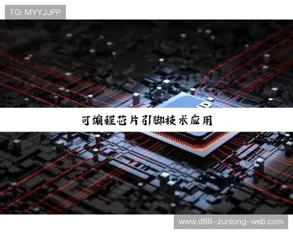 z6尊龙旗舰厅 中国市场热度分析，为什么越来越多玩家选择这款游戏平台