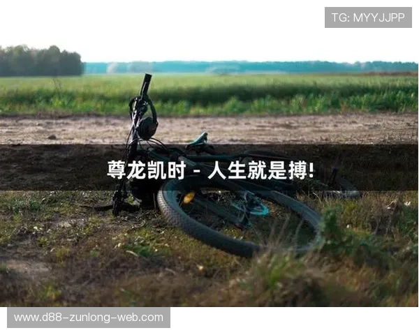 尊龙凯时人生就是博：游戏娱乐与人生追求的平衡之道详解